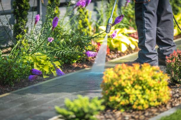 Best Driveway Pressure Washing  in Heron Bay, GA